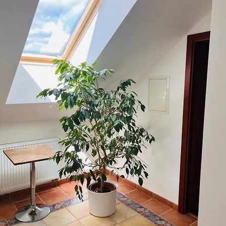 Appartement Se Zahradou 20 Minut Do Centra Prahy