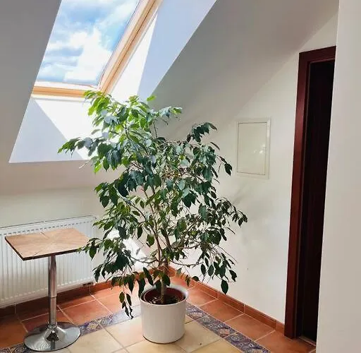 Daire Se Zahradou 20 Minut Do Centra Prahy